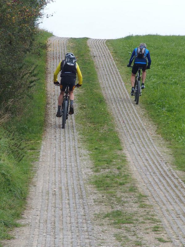 In den Stauden