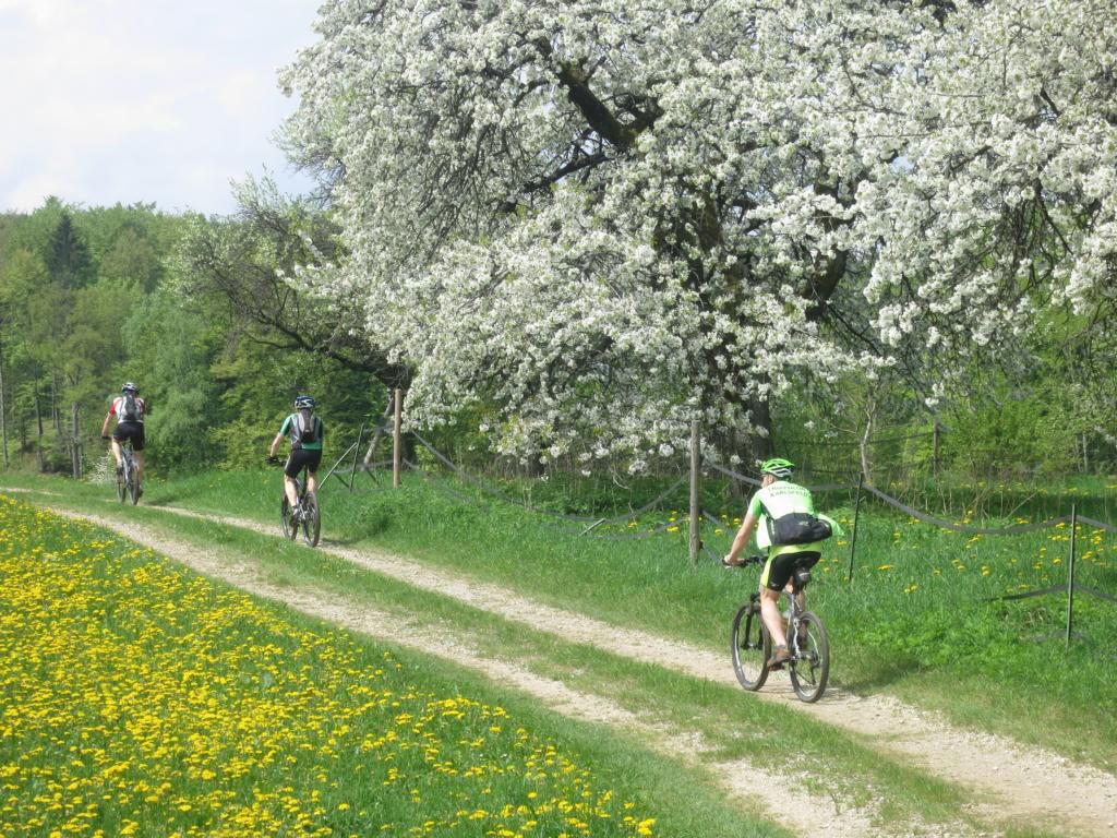 Obertrubach - Gräfenberg