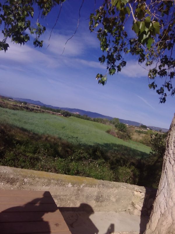 Valls&gt;Vallmoll&gt;Bellavista