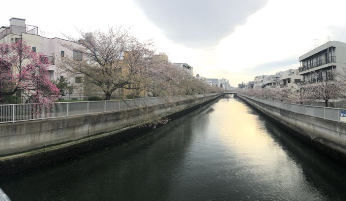 Foto 2 der Bikemap-Route "Taito-Odaiba-Kiba Park-Taito"