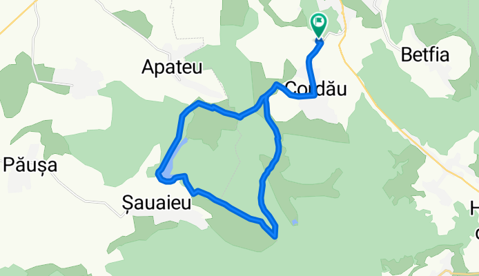 Tur Felix cu Andrei