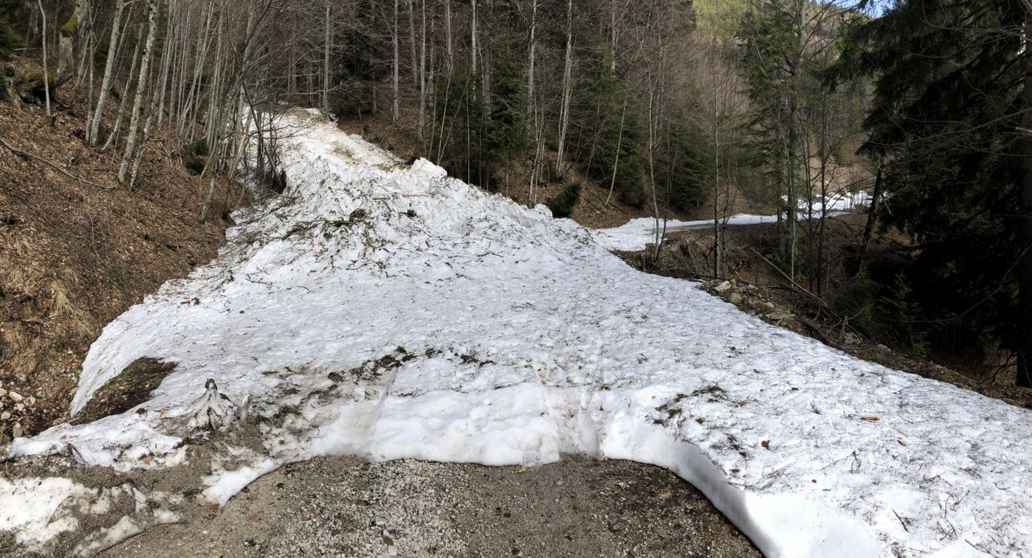 Alltours zur Agersgschwend Alm