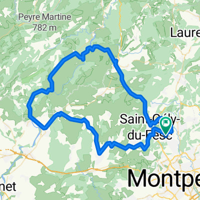 Saint-Clément-de-Rivière Cycling