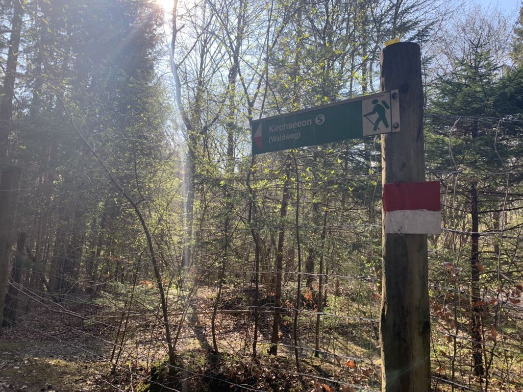 Steady ride in Ebersberg