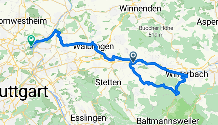 Entwurf