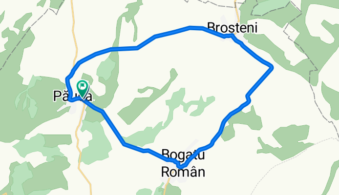 pauca  bogato brosteni pauca