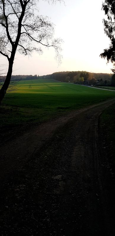 Nachmittags Rundfahrt Richtung RaBa