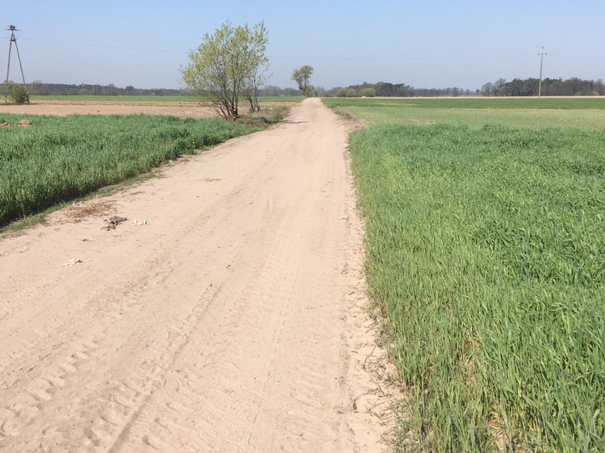 Połowa drogi do Kiekrza. GPS out, a jakże...