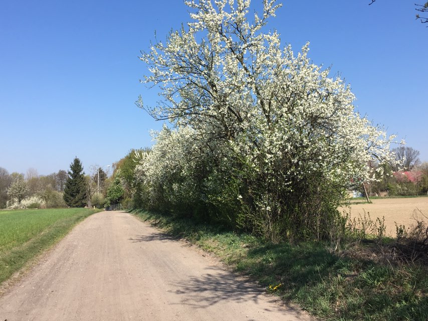 Połowa drogi do Kiekrza. GPS out, a jakże...