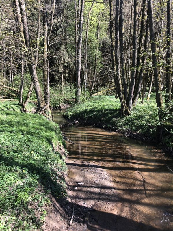 Gemütliche Route nach Roding