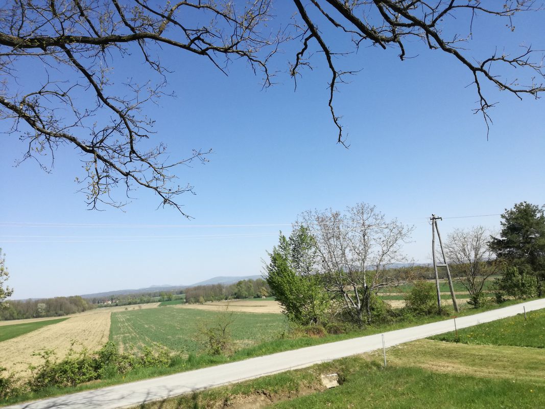 Segovci - Stogovci - Segovci