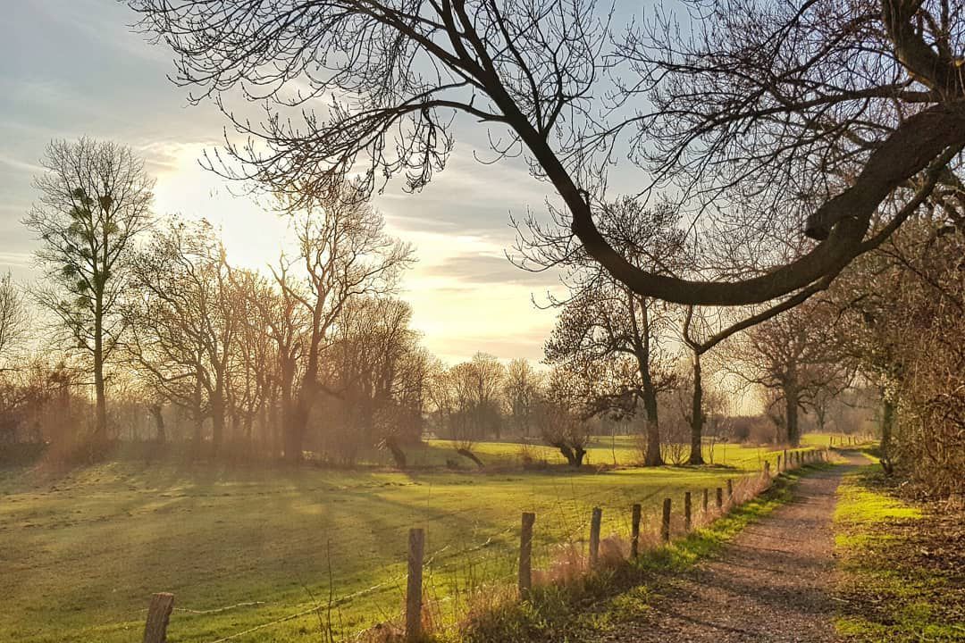 Duisburg Neudorf -> Burg Linn