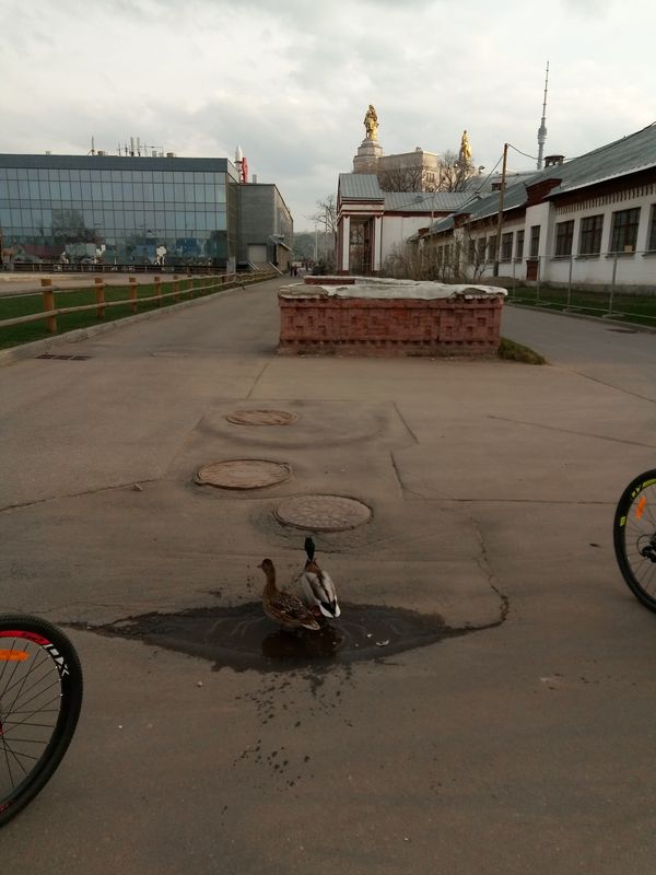 прогулка Сокольники - ВДНХ