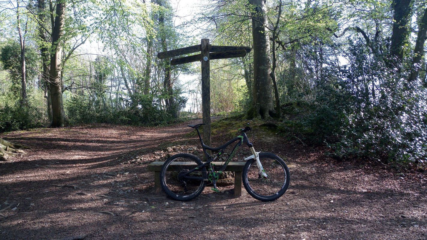 Houghton &amp; Eartham Woods