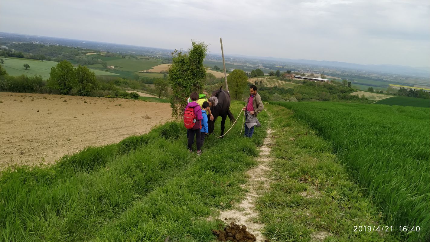 colline Pecetto