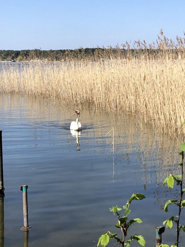 Roberts erste Route am schwielochsee