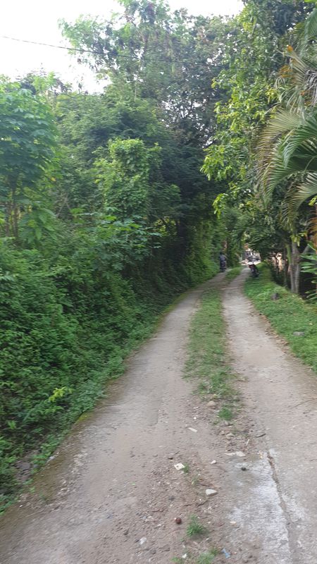 cek rute raker