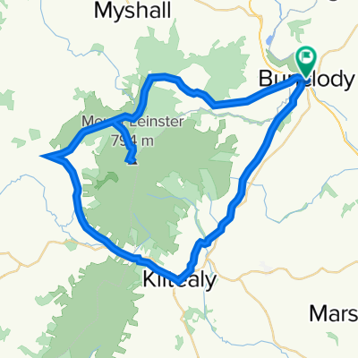 Mount Leinster