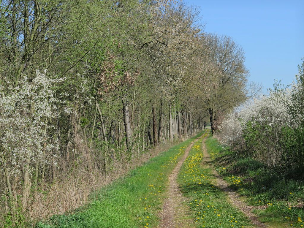Stepenitz-Schwerin  / 6.Tag von 6 Tagen