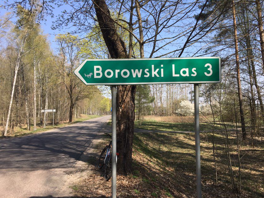 Sorkwity wiosną