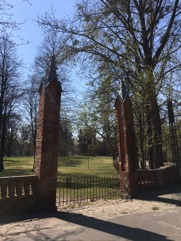 Sorkwity wiosną