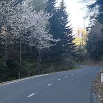 Foto 7 del percorso Bikemap "Hrastovec-Sleme-Zg.Zarazbor-Hrastovec 22.04.2019"