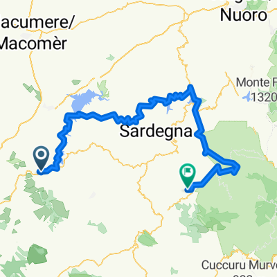 ML450-2019 - TR Fordongianus Belvì