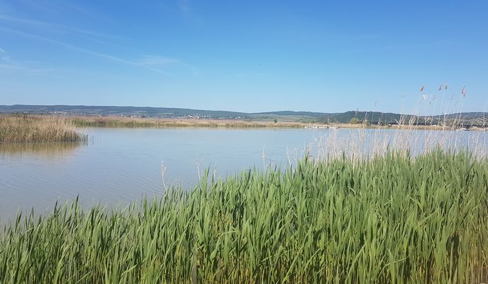 Photo 1 of the Bikemap route "Radausflug 25.4.2019"