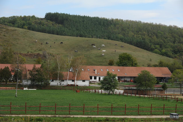 Hebe Bild 1 entlang der Bikemap-Route "Eger-Szilvásvárad-Eger" hervor Hebe Bild 1 entlang der Bikemap-Route "Eger-Szilvásvárad-Eger" hervor