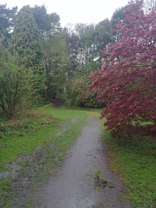 Middle Den XC MKIII -Loop