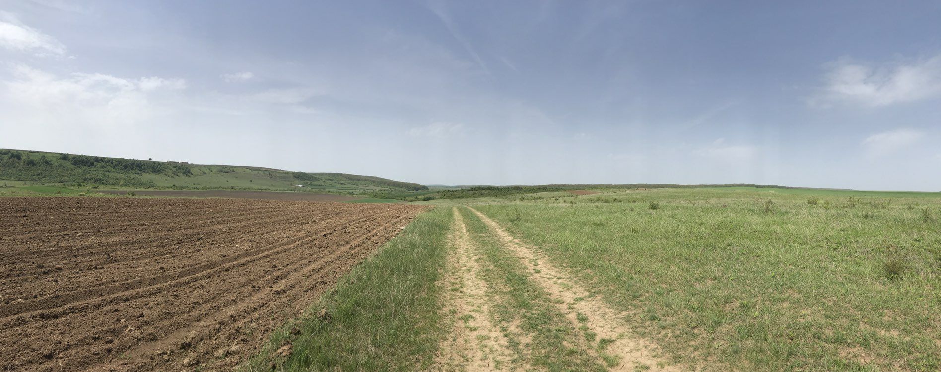 Slow ride in Timişoara