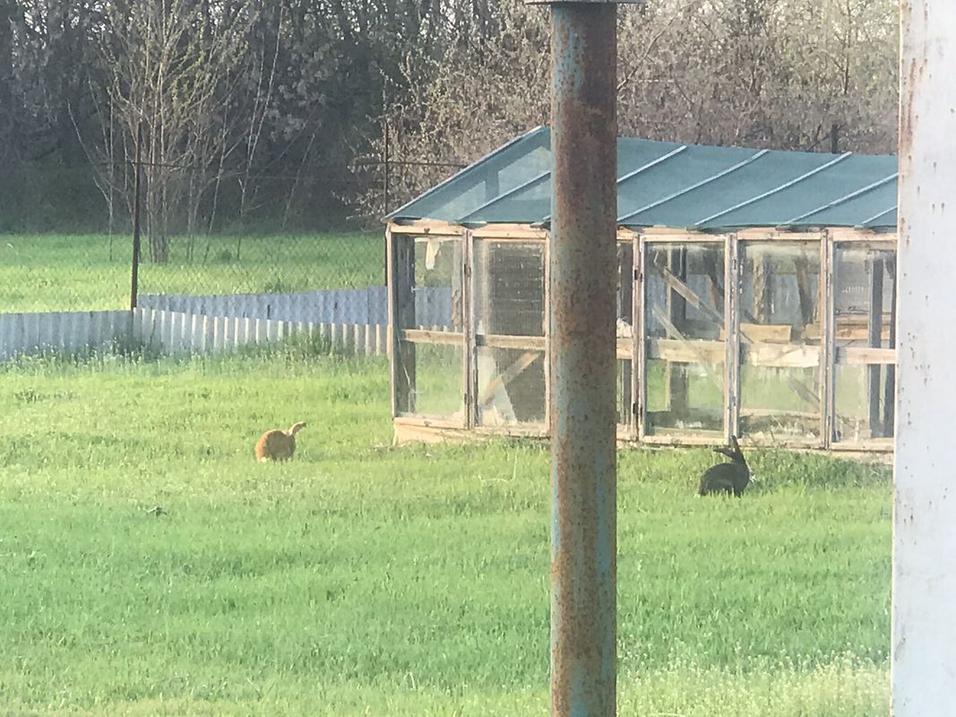 Moderate route in Dnipro