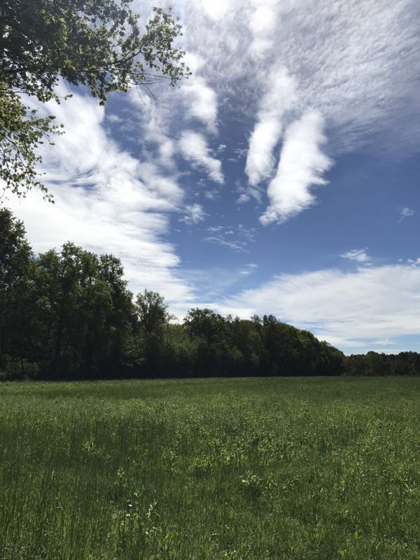 parco grane Cesano Maderno