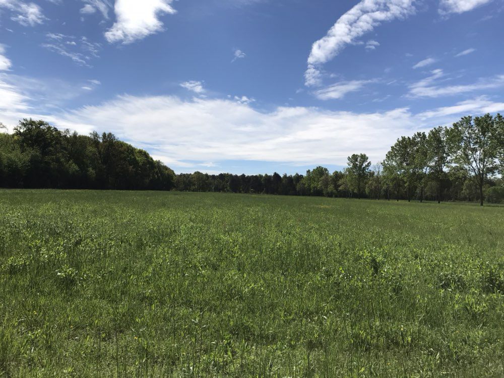 parco grane Cesano Maderno