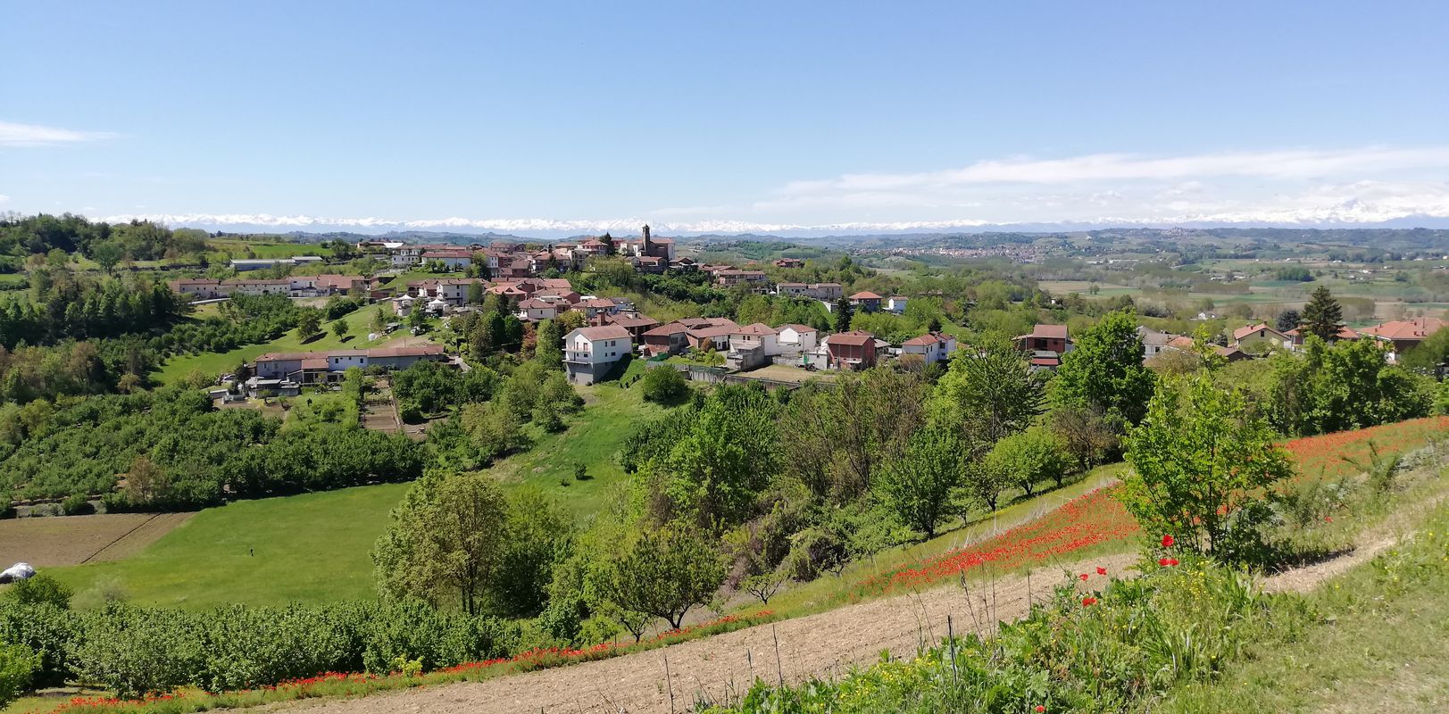 Celle Enomondo