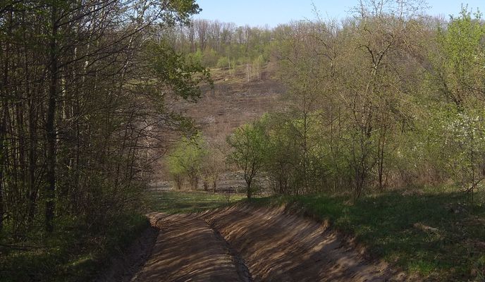 Foto 2 der Bikemap-Route "Лес это всегда сюрприз)"