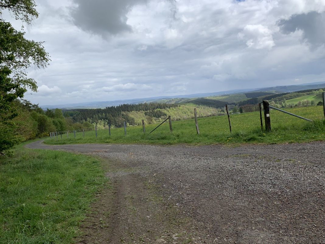 Moderate Route in Freudenberg