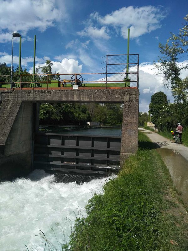 Treviglio - Canonica _ anello