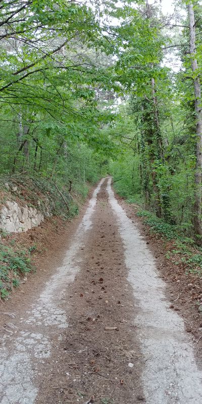 San Pietro in Cariano - Marano di Valpolicella - San Rocco - Fumane