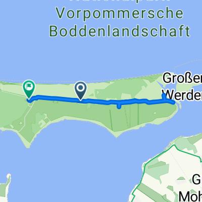 Darß, Pramort