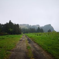 acores d7