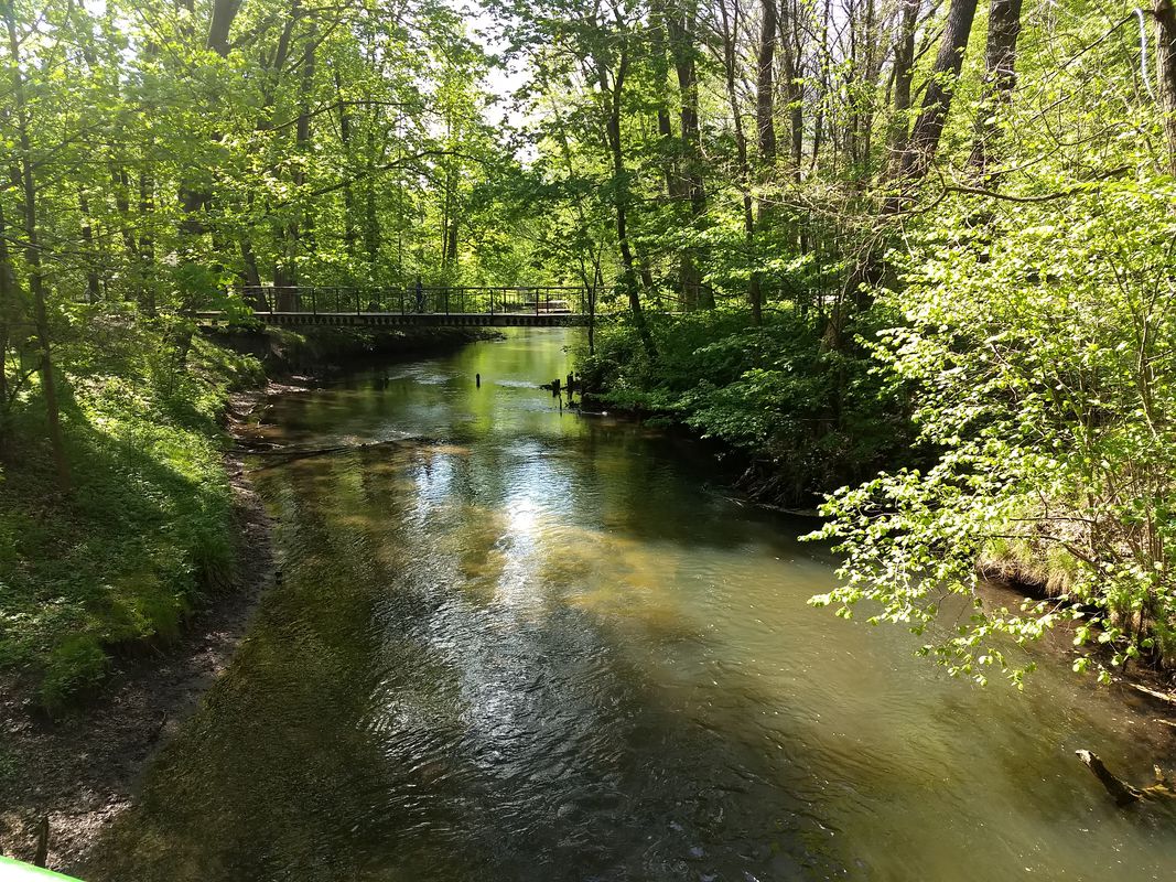 Szczebrzeszyn