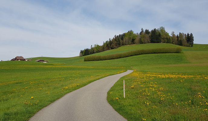 Foto 2 del percorso Bikemap "Worb einfach"