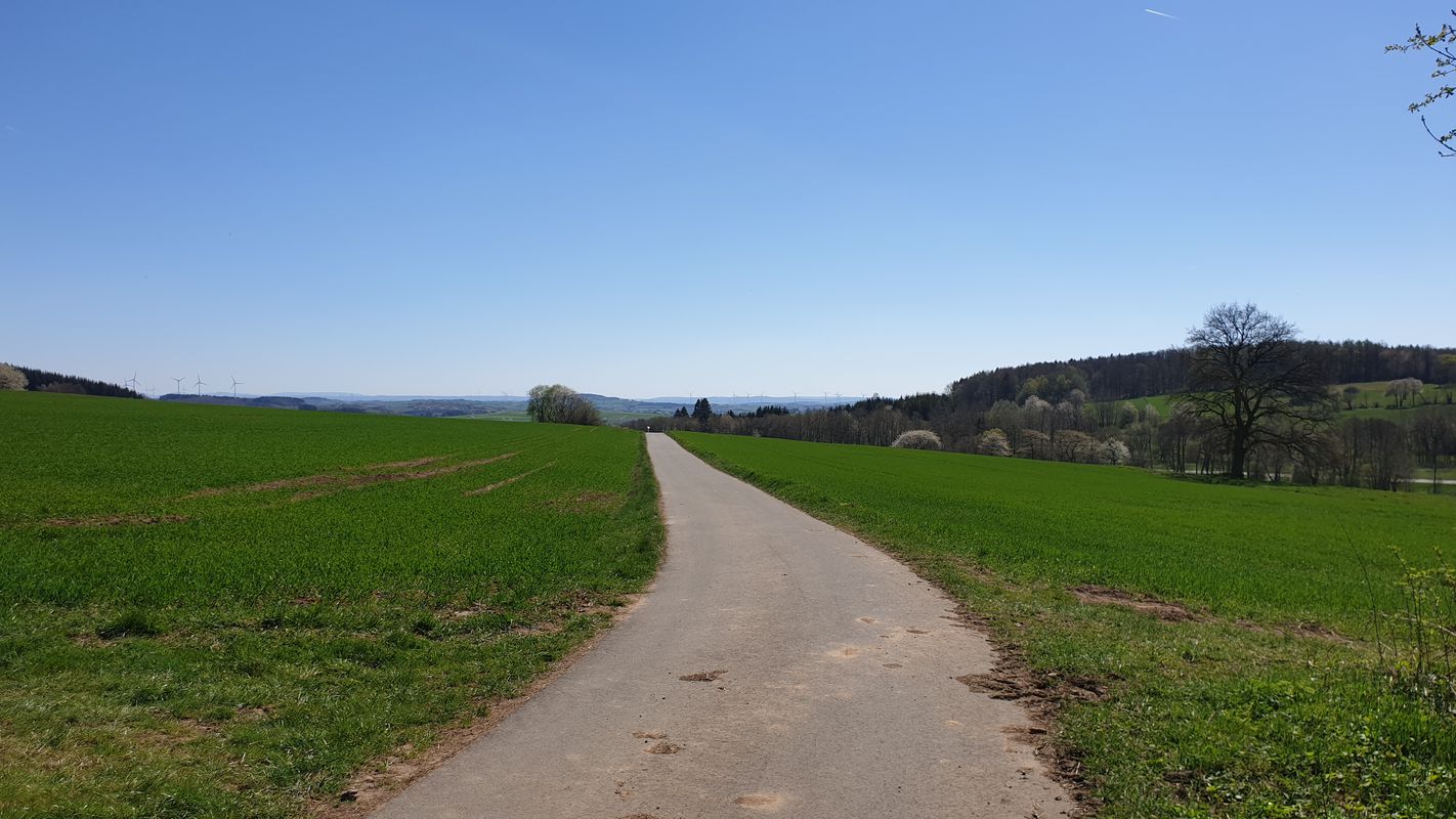 Teile Vulkanradweg-Hoherodskopf Runde von Hellstein