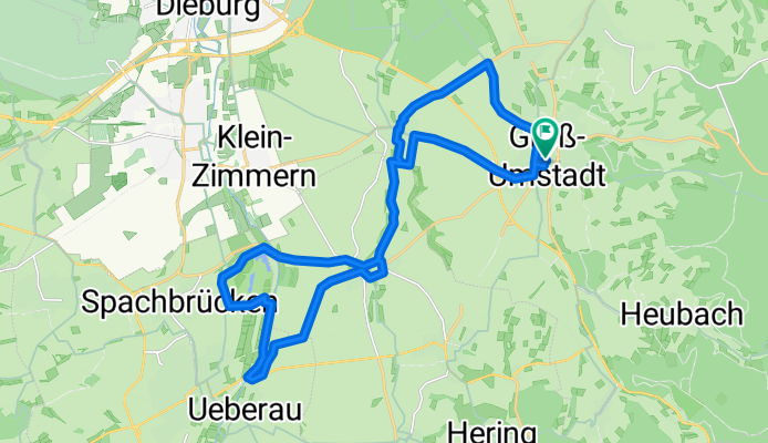 Reinheimer Teich