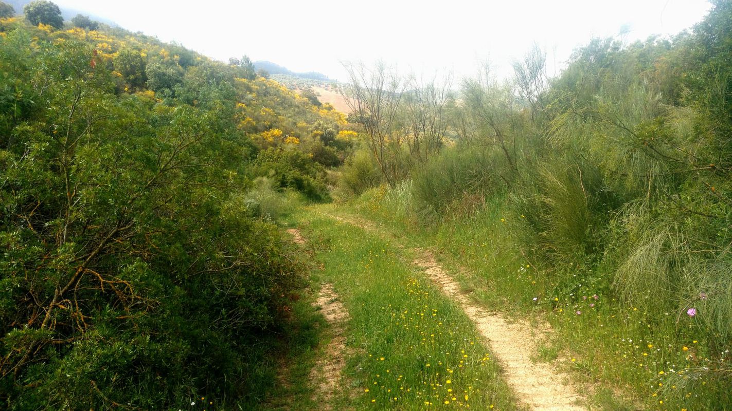 Alrededores Sierra de Priego y Rute