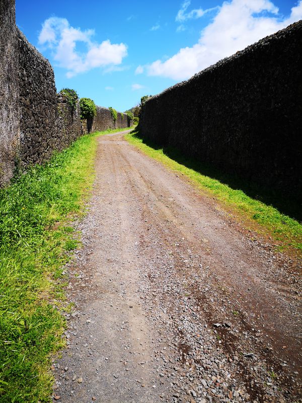acores d11