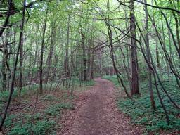 Highlight 34 along the Bikemap route "14.05.10 Eisenach-Weimar [Bilder]"