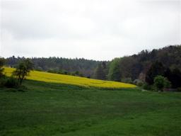 Highlight 42 along the Bikemap route "14.05.10 Eisenach-Weimar [Bilder]"