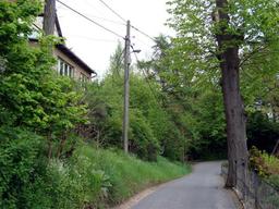 Highlight 5 along the Bikemap route "14.05.10 Eisenach-Weimar [Bilder]"